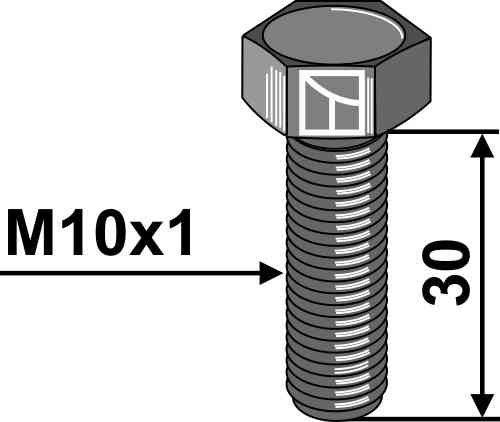 Bouten M10x1x30 passend voor Amazone DD491