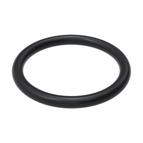 O-ring