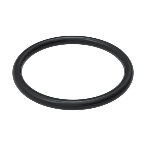 O-ring