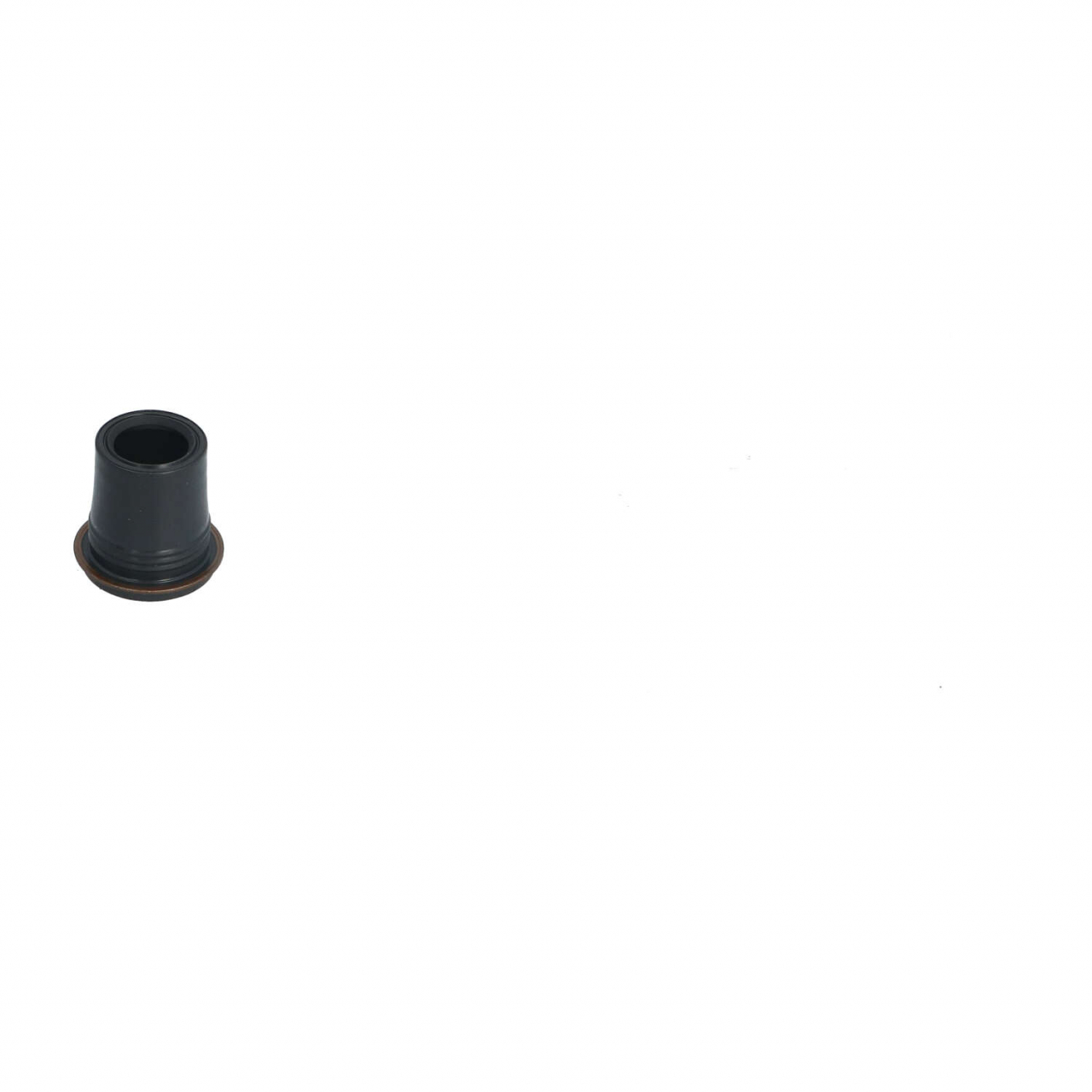 Seal injector