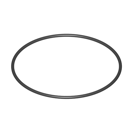 O-ring