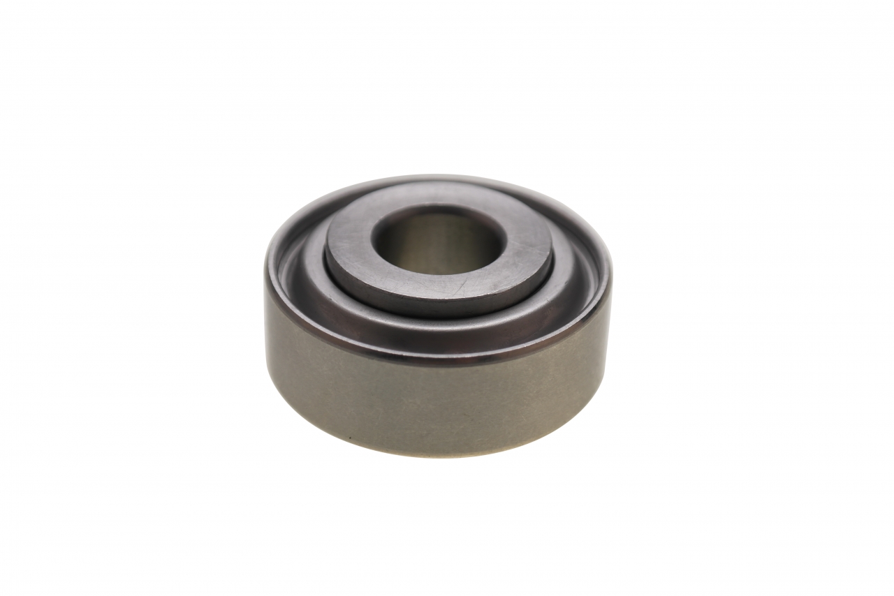 Bearing-stainless