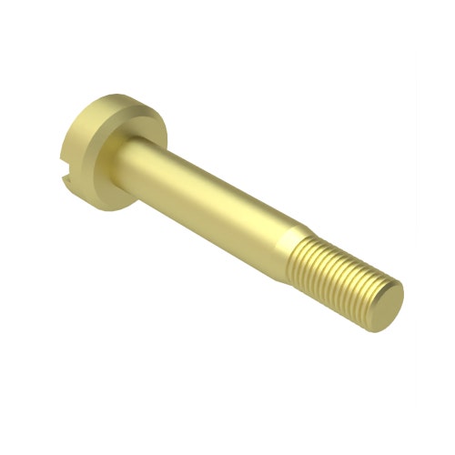 Bolt