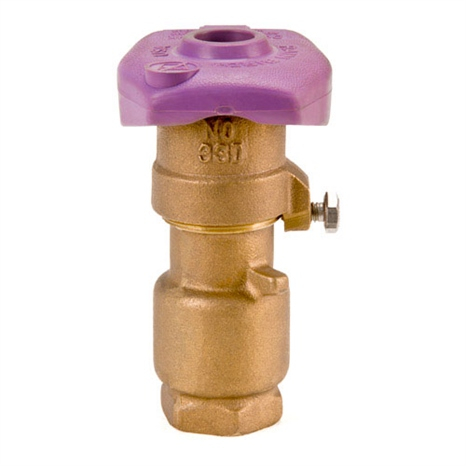 Rain bird brass quick coupling valve 2-piece body double track key lug - 3/4" w/purple np locking cover